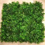 عشب جداري (1)